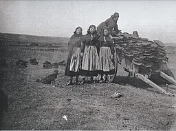 Ramassage de bouses séchées dans la lande à Ouessant par trois jeunes filles (photographie de Charles Grimbert, vers 1900, musée de Bretagne, Rennes).